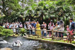 Kunjungan wisata di Bandarlampung selama Natal capai 65.821 orang