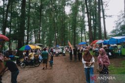 Pengunjung padati objek wisata Pantai Batu Kumbang Mukomuko