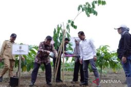 Menteri LH dan Gubernur Kalsel tanam pohon ciptakan hutan kota