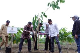 Environment Minister, Governor plant to create city forest in Batulicin