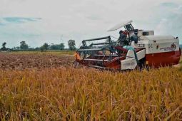 Kementan-Densus 88 libatkan mantan napiter perkuat swasembada