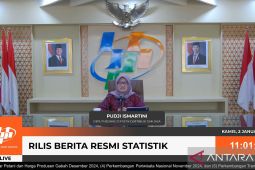 BPS: Harga gabah tertinggi di tingkat petani Rp11.900 perkilogram