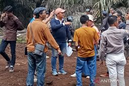 Kelompok tani Mukomuko tunggu Rp8,7 miliar bantuan  jalan perkebunan