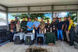 Kekah, hewan endemik Natuna yang terancam punah