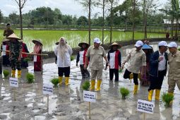 Bupati Bima hadiri tanam raya padi bersama Wamen Pertanian di Lombok Tengah
