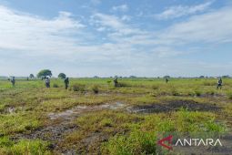 Korem 051/Wijayakarta garap lahan tidak produktif di Bekasi jadi sawah