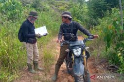 80 persen hutan Mukomuko rusak akibat perambahan