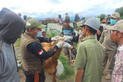 Pemkab Lumajang intensifkan vaksinasi antisipasi penyebaran PMK