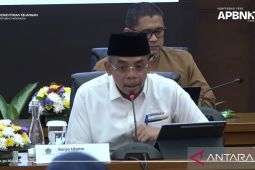 PPN 12 persen untuk barang mewah tambah penerimaan Rp3,5 triliun