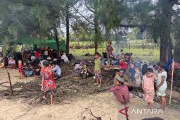 Sebanyak 264 Imigran etnis Rohingya mendarat di pesisir pantai Aceh Timur