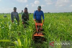 Korem 051/Wijayakarta terapkan teknologi tingkatkan efisiensi lahan pertanian
