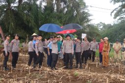Polres Bengkayang siapkan lokasi panen raya mendukung ketahanan pangan