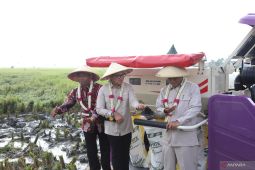 Wamendagri  optimistis swasembada pangan dapat terwujud