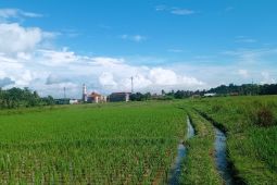 Pemkab Lebak ajak petani maksimalkan musim tanam 2025
