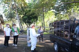 Pemkab Aceh Besar gerak cepat antisipasi penyebaran PMK, ini yang dilakukannya