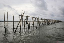 DKP Banten: Klaim pagar laut Tangerang cegah abrasi perlu dibuktikan