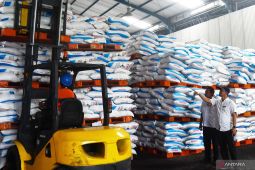 Pupuk subsidi untuk dukung swasembada pangan