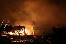 Seluas 70.800 ha hutan California terbakar, kebakaran terbesar tahun ini