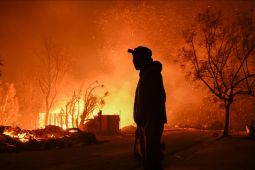 Fakta dibalik kebakaran hutan yang menyambar kawasan elit Los Angeles