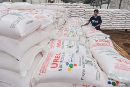 Pemkab Lebak jamin stok pupuk subsidi cukup hingga Desember