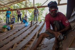 Sulsel dan pendiri Rimba Bitti bahas kelangkaan kayu bitti