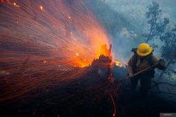 Fakta dibalik kebakaran hutan kawasan elit Los Angeles