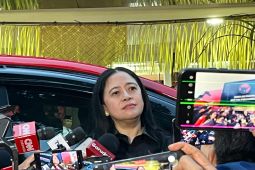 Puan sebut belum ada pembahasan pergantian Sekjen PDIP usai Hasto tersangka