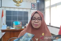 PPPK paruh waktu di Babel digaji sesuai UMP