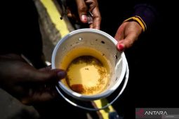 Sudinkes dan UGM petakan titik bibit nyamuk ber-Wolbachia