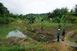 Pemkab Kukar bangun irigasi  di lahan eks tambang untuk lumbung pangan