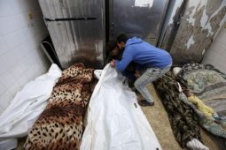 Kemenkes Gaza laporkan 4.500 amputasi terjadi di tengah perang Israel