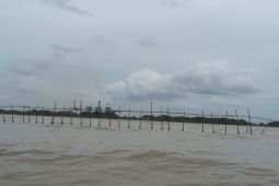 Nelayan klaim pemagaran bambu sepanjang 30 Km di Tangerang untuk cegah abrasi