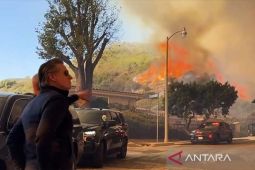 Korban meninggal akibat kebakaran hutan Los Angeles jadi 13 orang
