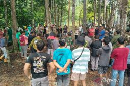 Pengamat sebut harimau ancam keselamatan warga Mukomuko