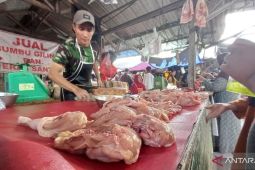 Pemprov Babel: Pelaku usaha tambah 20 ton ayam potong jelang Imlek