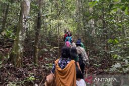 Dishut Kaltim perkuat   perhutanan berbasis pemberdayaan masyarakat