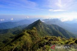 Pendakian di Gunung Halau Halau ditutup karena tradisi Dayak "Basambu Umang"
