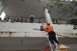 70 pelajar SMPN7 Balikpapan dievakuasi akibat pohon tumbang