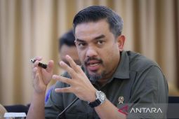 Menteri UMKM perkuat ketahanan pangan