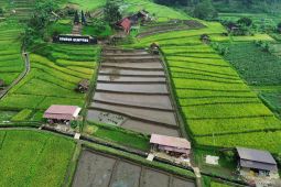 Desa Wisata Ketapanrame Mojokerto