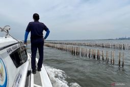 Petugas KKP terjun ke lokasi pemagaran laut di perairan Bekasi