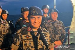 Kemarin ekonomi, pagar laut di Bekasi sampai impor sapi untuk program MBG