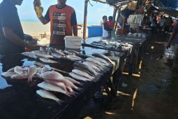 Tangkapan nelayan berkurang akibat cuaca buruk harga ikan di Kupang melonjak