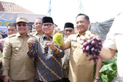 Mendagri Tito minta kades manfaatkan APBDes untuk dukung PE