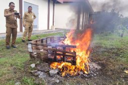 Disdukcapil Paser musnahkan 5.000  e-KTP  rusak