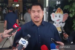 Menpora masih tunggu pengajuan naturalisasi striker Ole Romeny