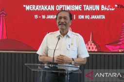 Luhut minta publik beri waktu 4 bulan Coretax berjalan optimal
