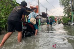BPBD: Empat desa di Sidoarjo tergenang banjir