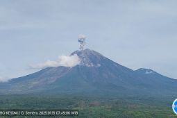 Rabu pagi, Semeru kembali erupsi dengan letusan setinggi 900 meter