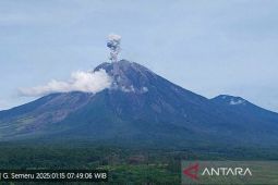 Gunung Semeru kembali erupsi letusan hingga 800 meter